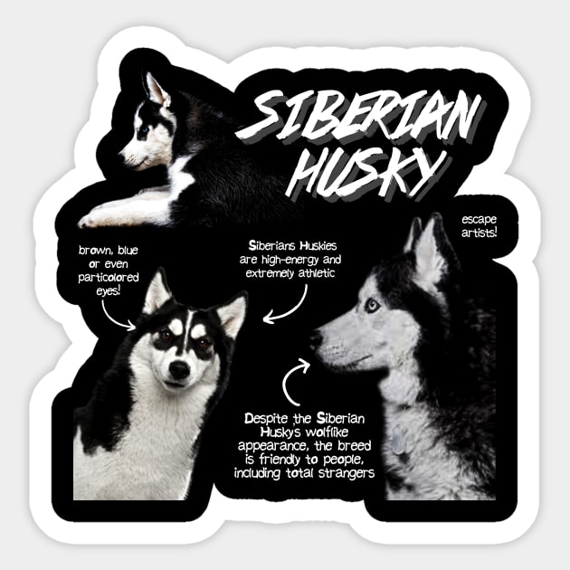 Siberian Husky Fun Facts Sticker by Animal Facts and Trivias